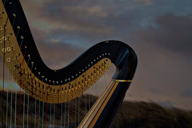 Harpist playing a magical tune