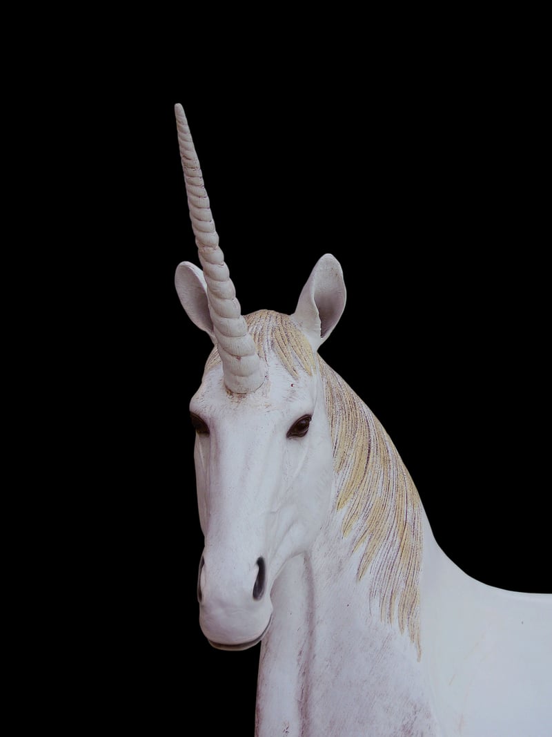 Unicorn Delight